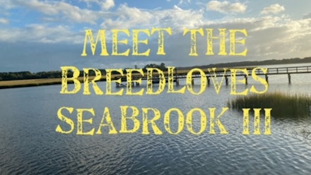 Meet The Breedloves Video