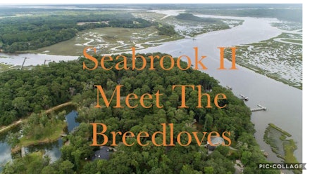 Meet The Breedloves Video