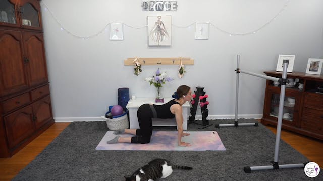 15 Min | Stretch & Flow 04