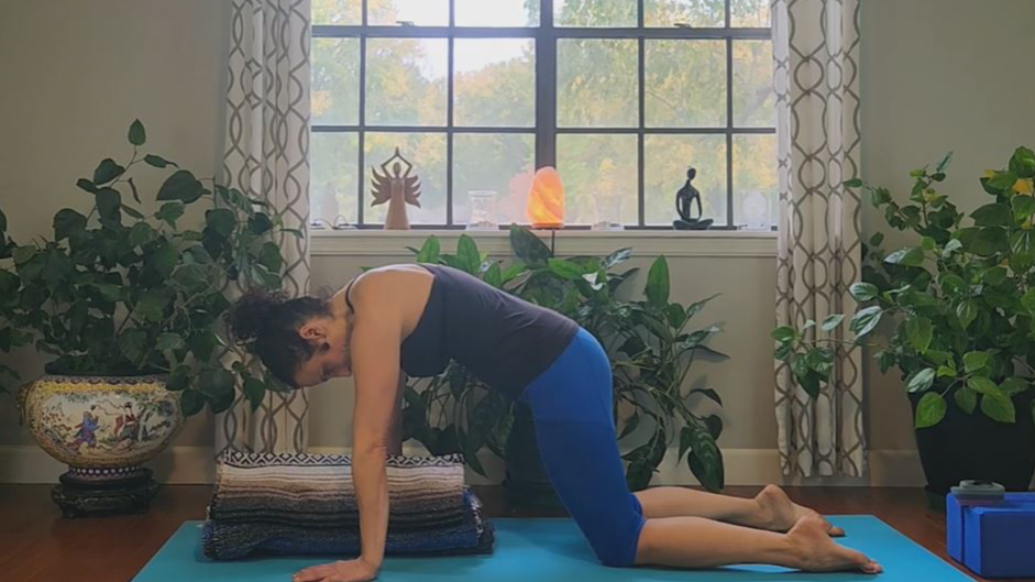 30-min Yoga Therapy for Acute Back Pain and Back Spasms #72.
