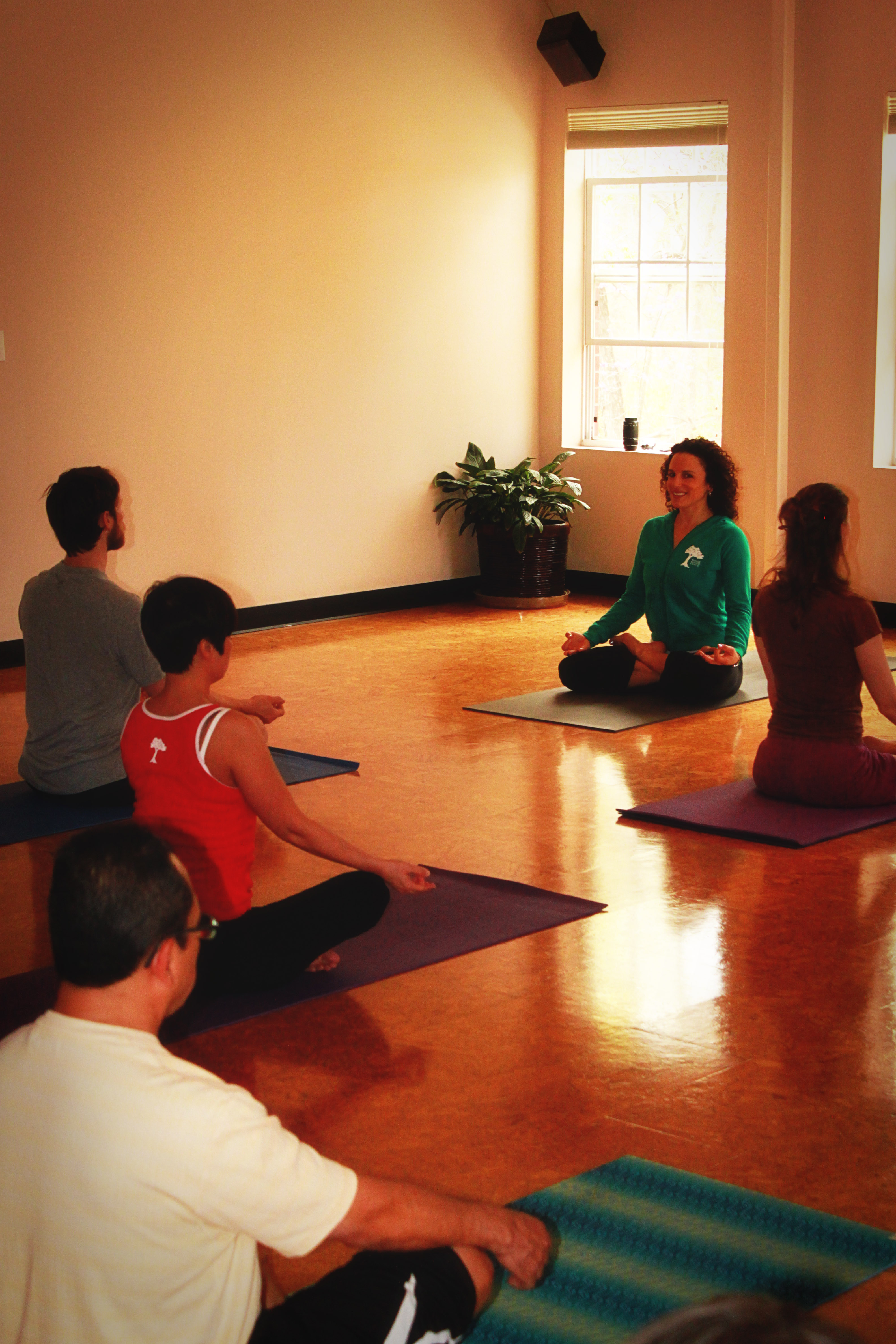 60 Minute Gentle Yoga Playlist (Beginner Friendly)