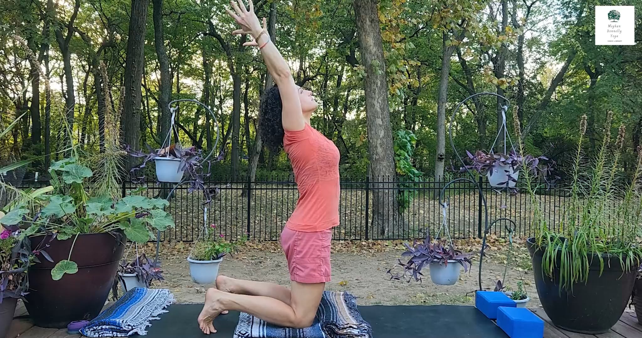 30-min Gentle Yoga for a Sore or Stiff Back (suitable for all bodies) #70.