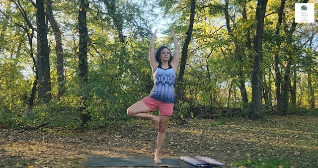 30-min Easy Yoga Mix for Morning or L...