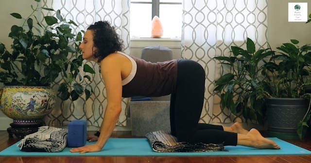 30-minute Yoga for Back Pain relief from TOO MUCH SITTING! #105.