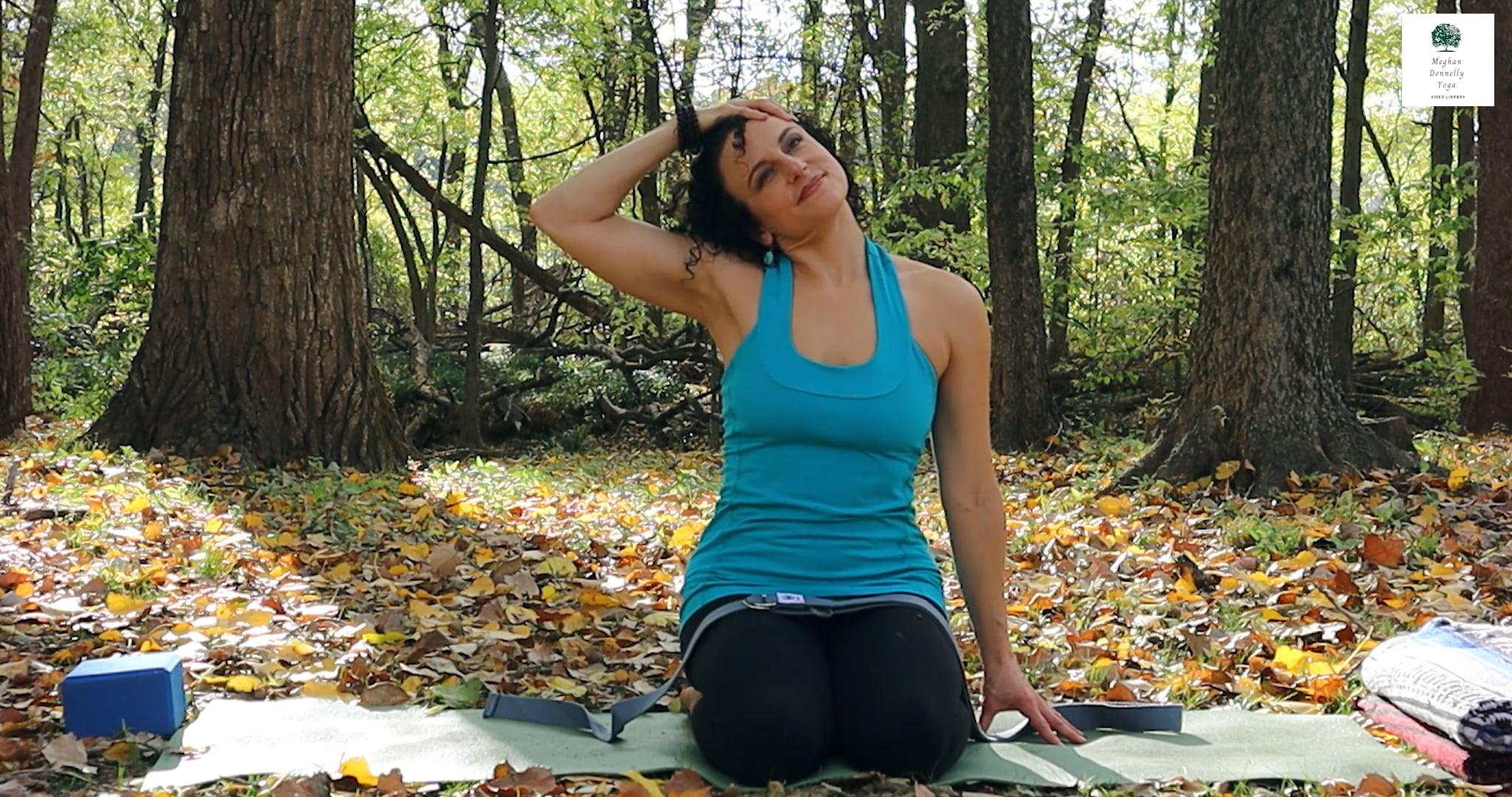30-minute Yoga Therapy for Acute Shoulder, Wrist and Neck pain #99.