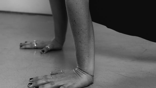 How to Chaturanga