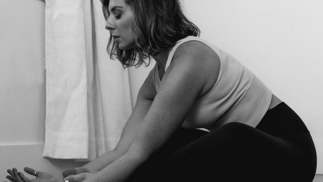 Settle Down Meditation