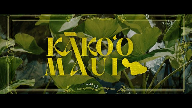 Kākoʻo Maui
