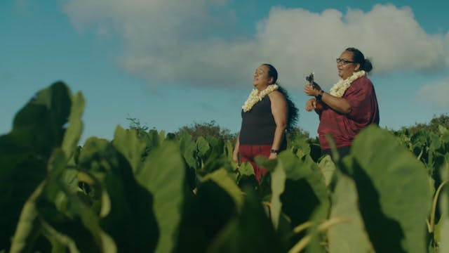 Nā ʻĀina Hoʻolehua