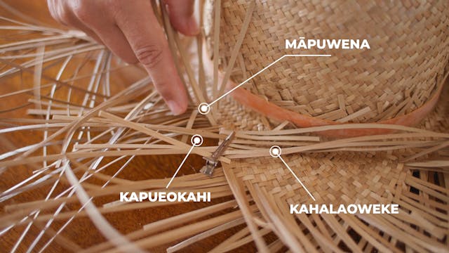 Kahalaoweke: Mele Nala Lau Hala