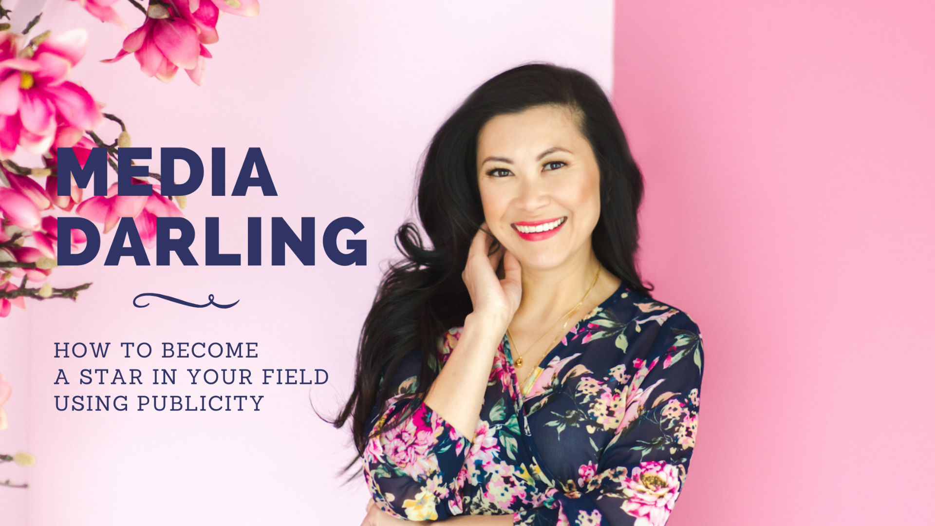 Media Darling the Workshop: How to become a star in your field using publicity