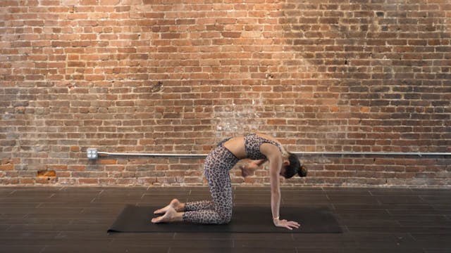 24 Min Yoga and Pilates Stretching Fl...