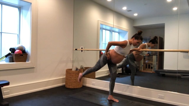 22 Min Prenatal Standing Arm and Leg Using Your Own Body Weight