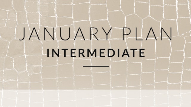 January Plan - Intermediate