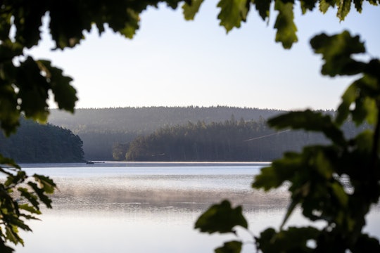  Morning on Alamoosook Lake in Maine - S210