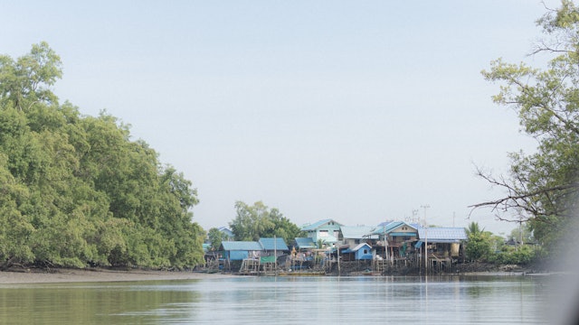 Mangrove River Journey - S6008