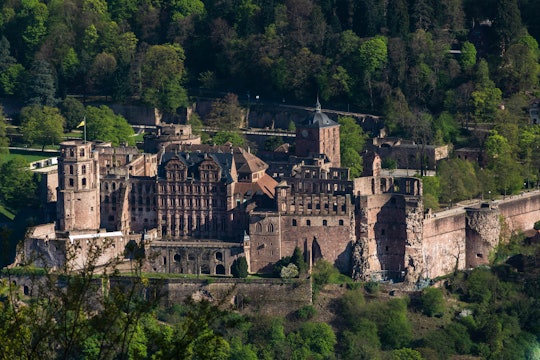 Medieval Castle Ruins Schloss Heidelberg in Germany - S4072 