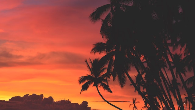 Tropical Island Sunset & Night Sky - S2032
