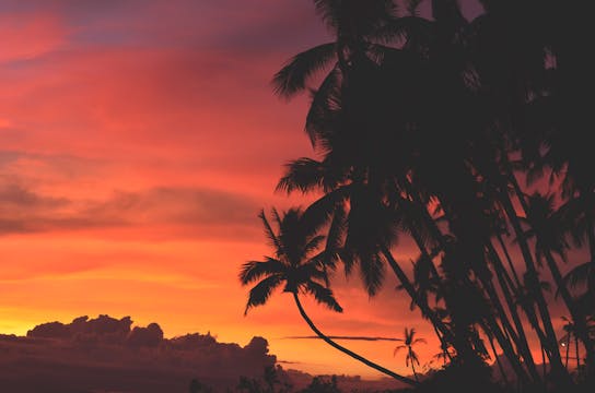 Tropical Island Sunset & Night Sky - ...