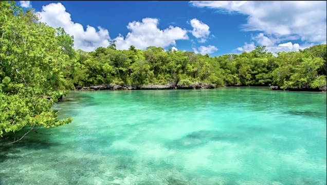Tropical Lagoons and Vegetation - S2036