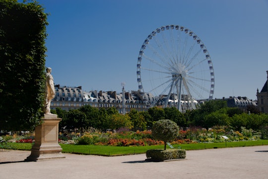Paris, Tuileries Gardens in France - S4241 