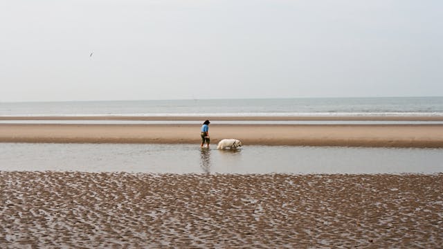 Blankenberge Boulevard Beach in Belgi...