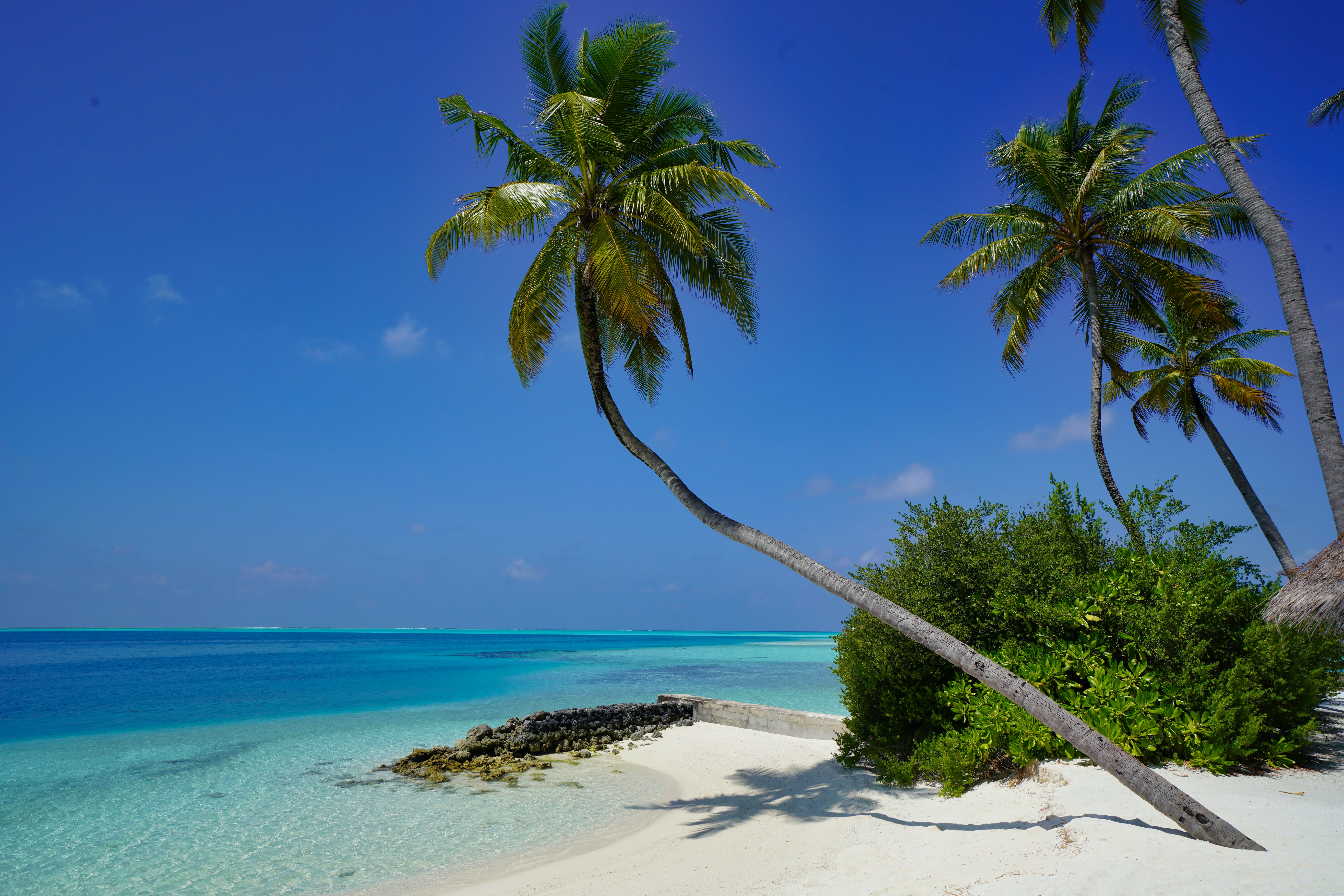 Tropical Beaches, Islands & Landscapes - S2074