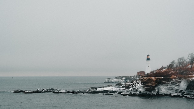 Snowy Portland - S219