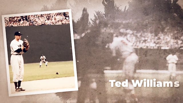 Ted Williams - S107 