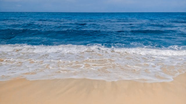 Ocean Beach Soundscapes - S201