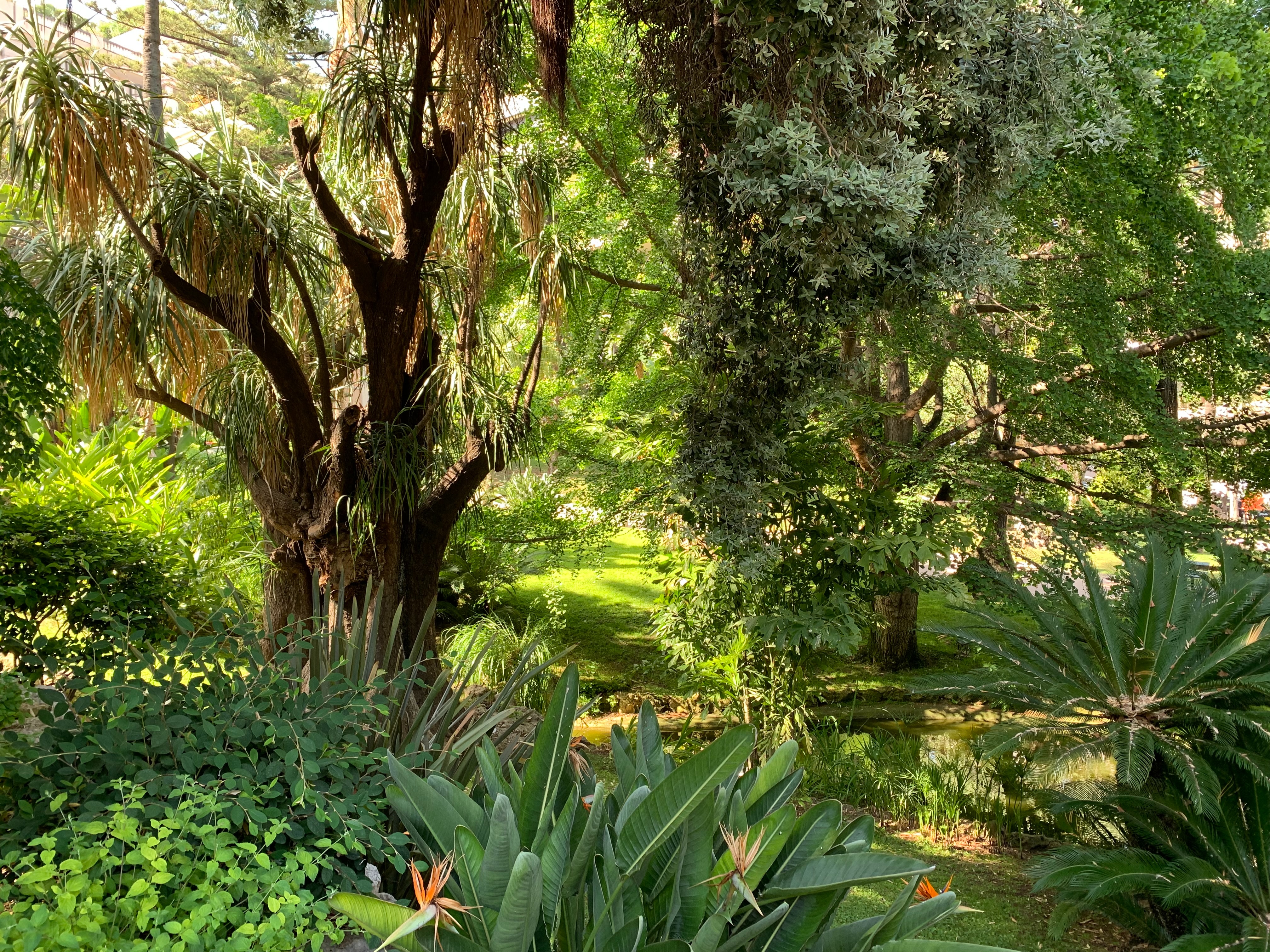 Exotique Garden and Cave in Monaco - S4183 