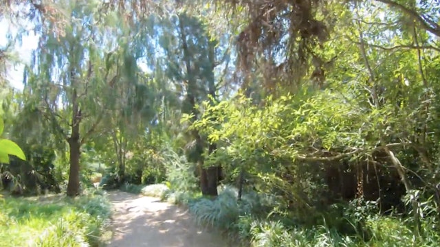 S4182 - Jardin Botanico Marimurtra, Blanes - 🇪🇸 Spain - 4K Walking Tour