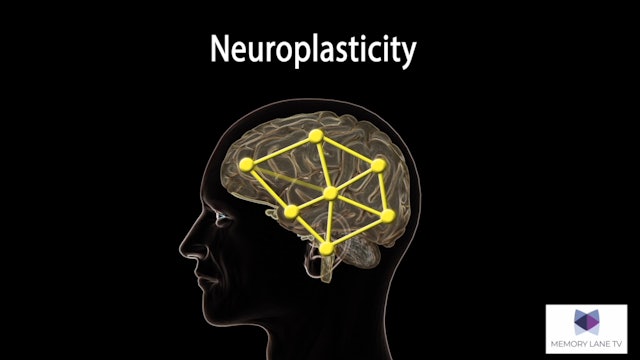 M87-Science of Memory Lane - What is Neuroplasticity?