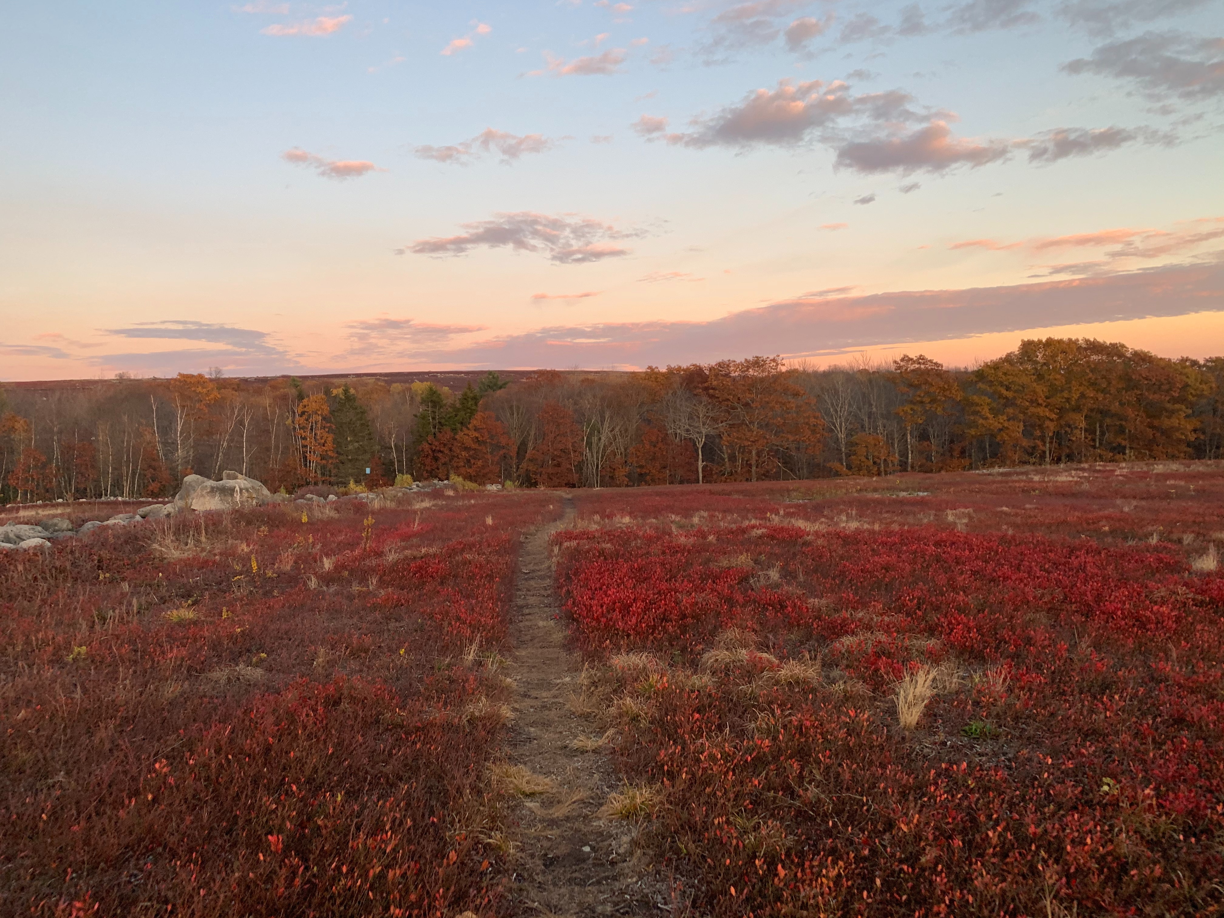Blueberry Hill in Maine - S212