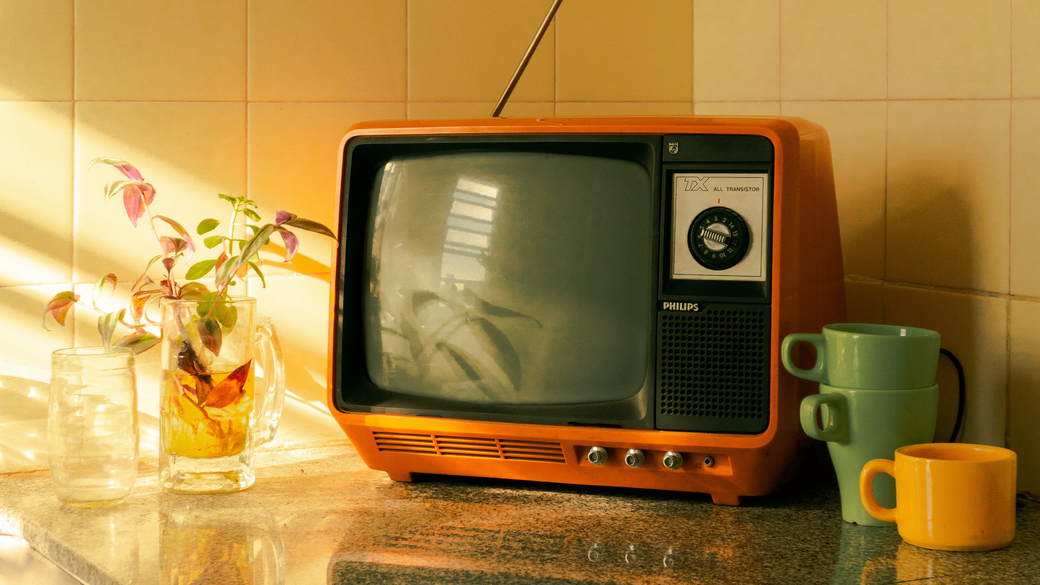 Reminiscence, Vintage & Life Journeys