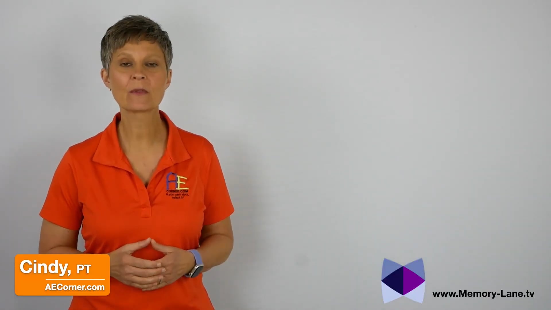 Memory Lane TV Product Review by Cindy from Corner Room