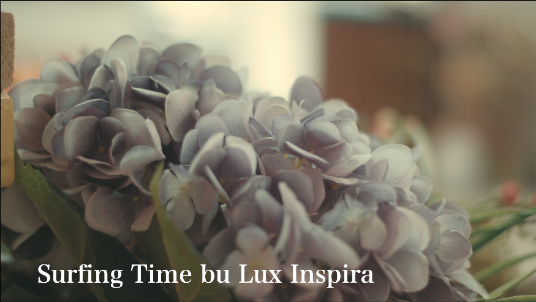 Happy Lunchtime Playlist - S3408