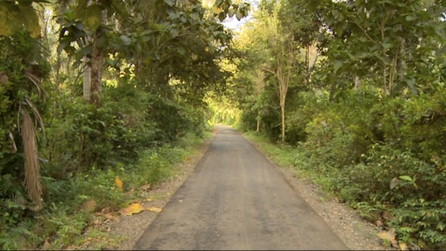 Bali Countryside - S6064