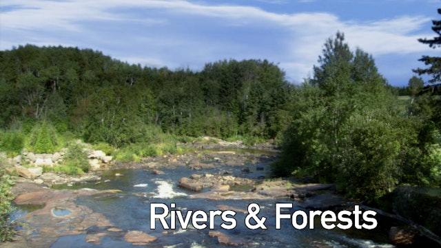 Rivers & Forests