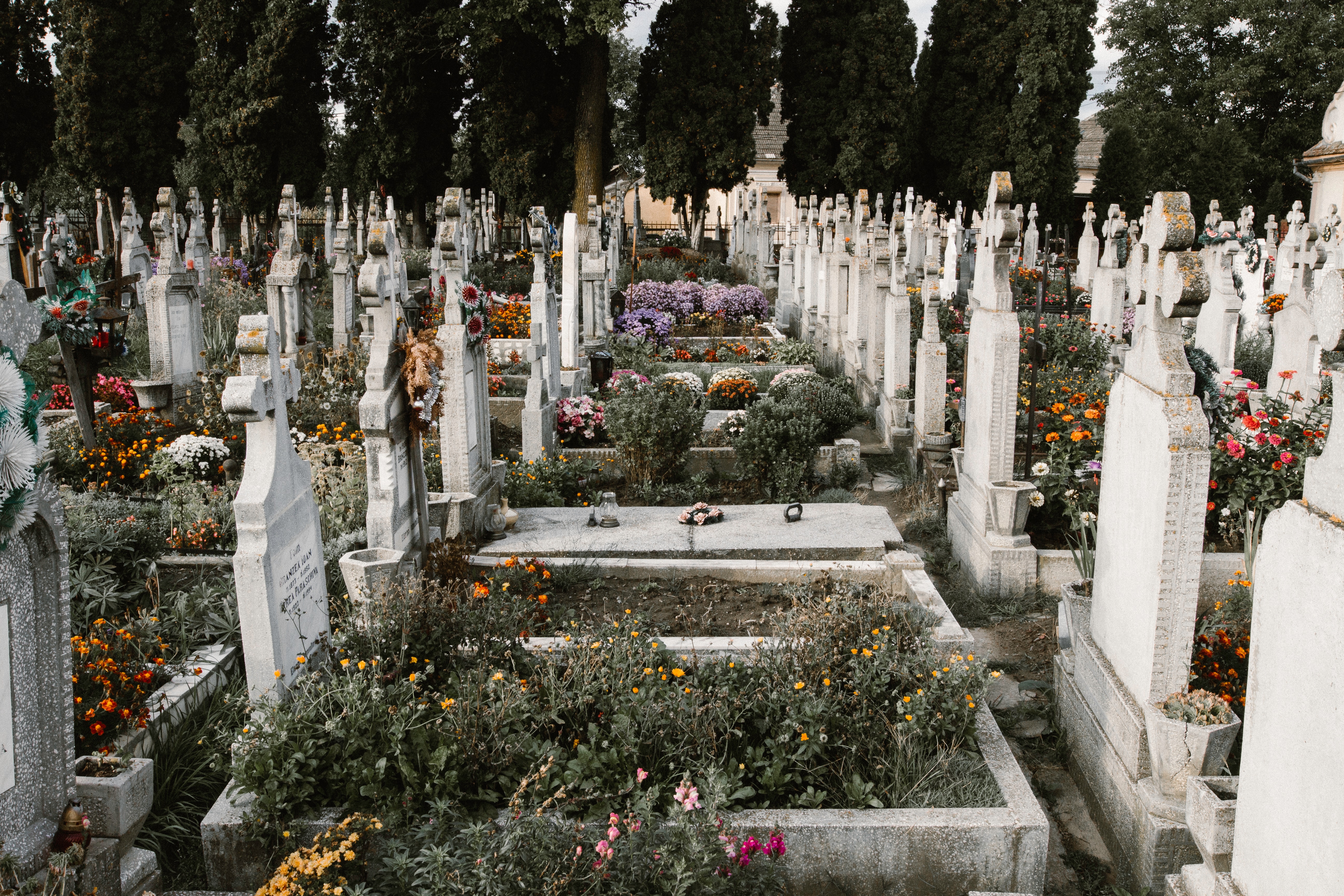 How to Talk Openly About Death - S9051