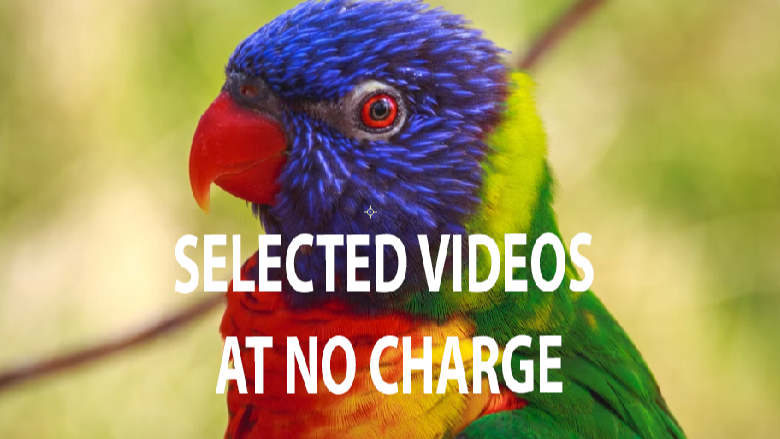 Free Selected Videos from our collection