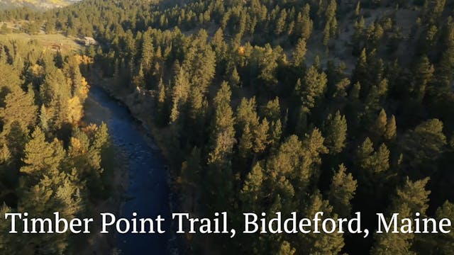 S220 - Timber Point Trail