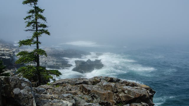 Winter in Acadia National Park, Maine...