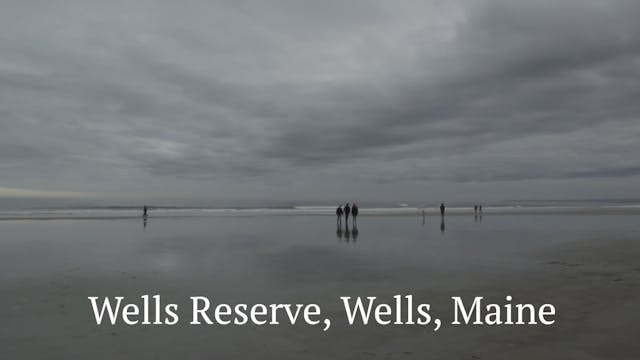 S221 - Wells Reserve 