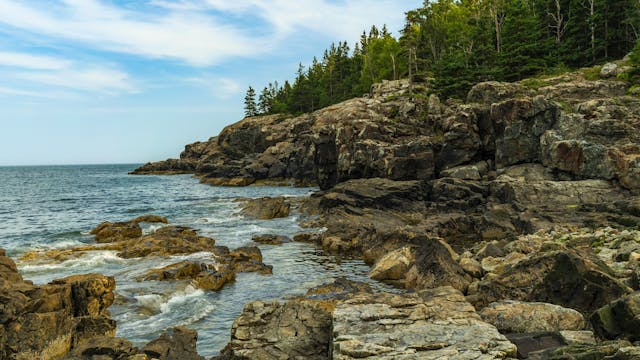 Acadia's Natural Beauty - S1059