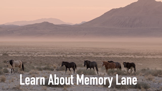 Learn About Memory Lane