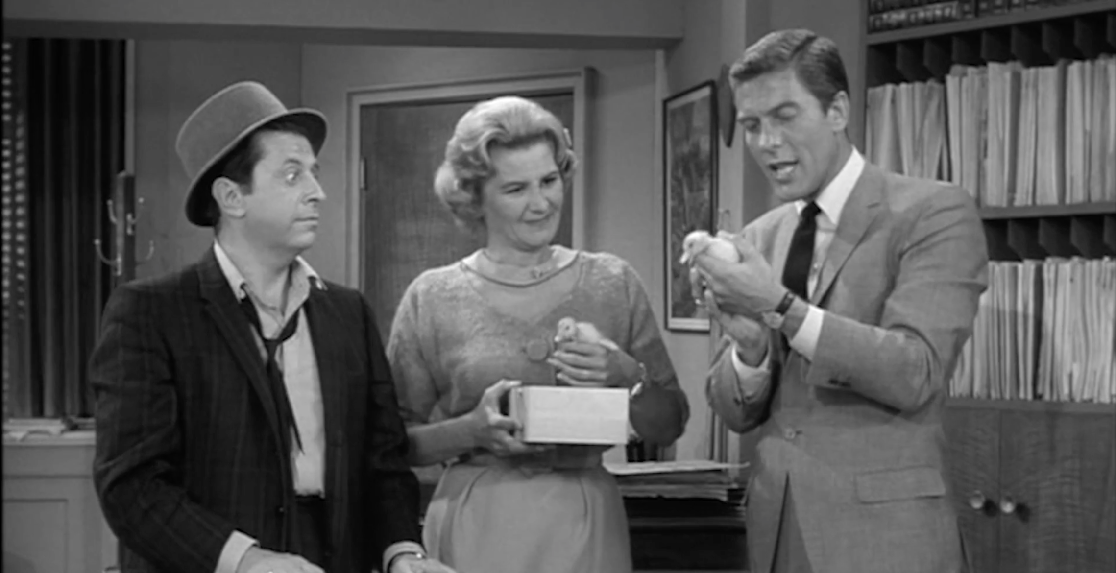 Vintage Television, I Love Lucy, Dick & Van Dyke - S3004