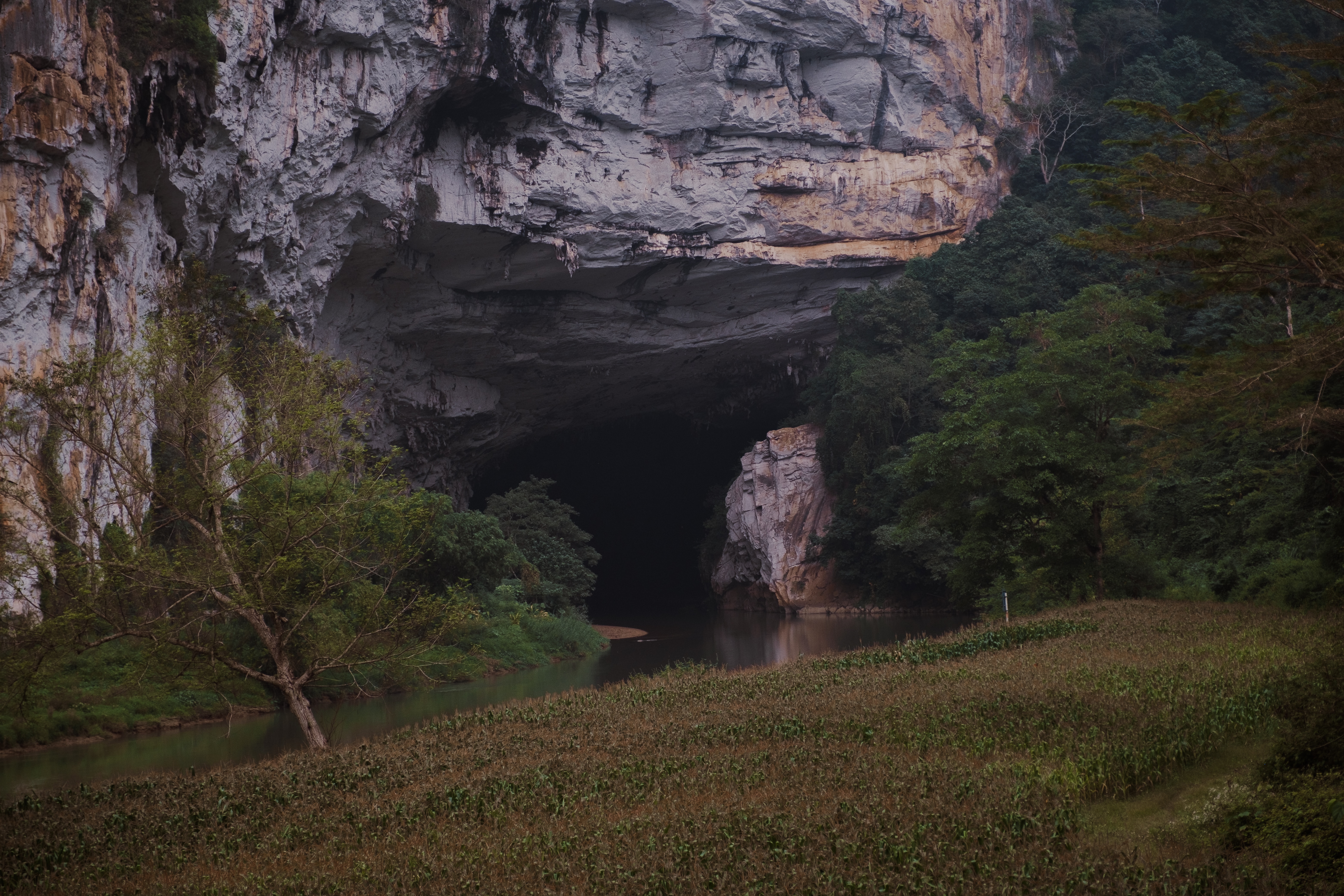 Sung Sot Cave in Vietnam - S4272 