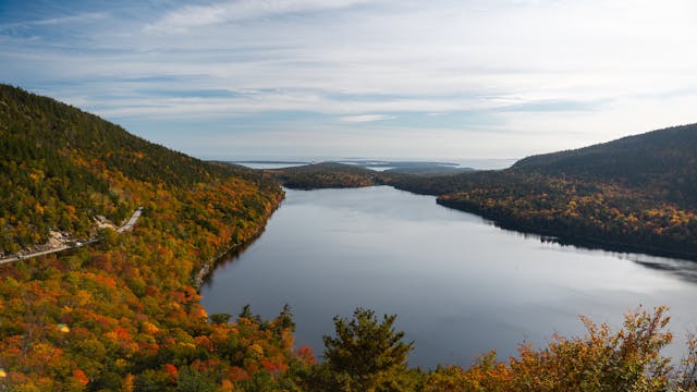 Over Acadia in Autumn - S602 