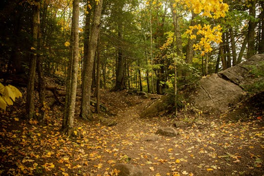Timber Point Trail, Biddeford in Main...